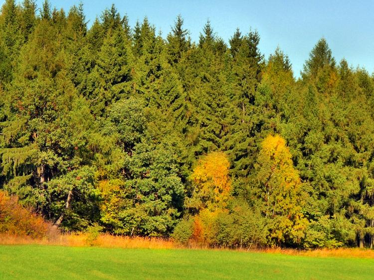 Olešnice na Moravě